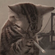 ✪ blyat cat - steam id 76561197963418070