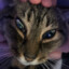 Ebbie