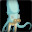 Squidman.ASMR's avatar