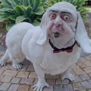 DOGMAN