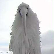 2027 will explain everything...