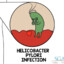 Andrea H. Pylori