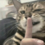 闪击对手，痛击队友