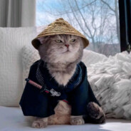 打我队友就不能打我了