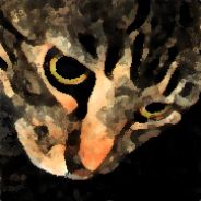 word - steam id 76561197971000534