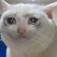 Crying Cat Memes