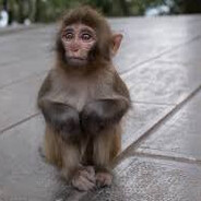 ᖇΔGΣ | łηsαηΣ