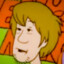 Shaggy Rogers