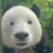 wormaq avatar