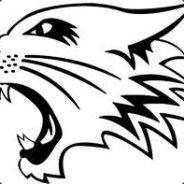 |Blitz| Wild-Kgn|BRA| - steam id 76561197961297706