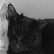 szejkus_ skins.army SKINS