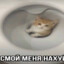 leepolitsiya