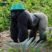 sxth - steam id 76561198210117069