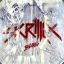 BBRV_Skrillex