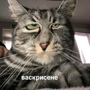 Бесперспективняк