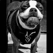 猪脑过载皮狂野