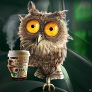 owl
