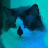 FL1K!LLA - steam id 76561198754472824