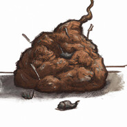 kaunis paskapökäle