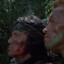 There&#039;s something in those trees