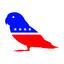 Democratic Parakeet