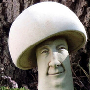 Mr.Shroom