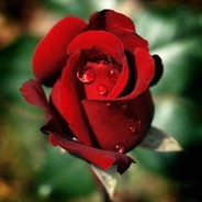 凛冬将至-我心已死