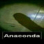 Anaconda