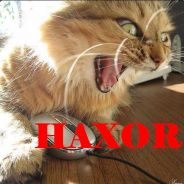 -{dXm}- DiEhARd - steam id 76561197961874059