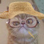 Old Man Rob