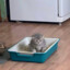 Король уебищ
