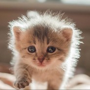 не проебали