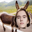 Donkey