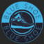 BlueShoe