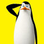 KOWALSKI