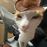 西部哈基最速伝説快哈