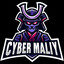 cybermaliy6