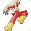 Shadow Blaziken