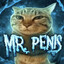 mr. penis
