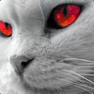 Aleks Kors avatar