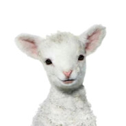 不要说话冷冰冰