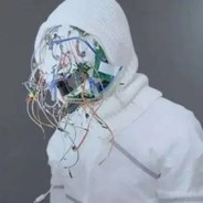 待到葡萄成熟时