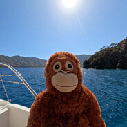 123 - steam id 76561199195046346