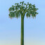 Lepidodendron Tree