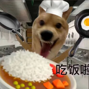 无敌大蟑螂啃木头