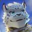 Aster