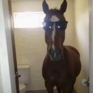 Bib - steam id 76561198260649447