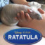 RATATULA