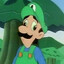 you stone luigi