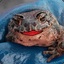 Sexy Toad - Laijnos